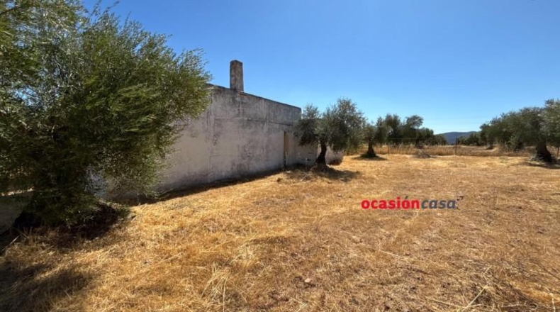 Cordova - Belmez - 13370m2