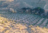 Terreno no urbanizable en venta en la España, Calicasas, ref: TR248191 foto
