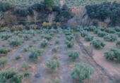 Terreno no urbanizable en venta en la España, Calicasas, ref: TR248191 foto