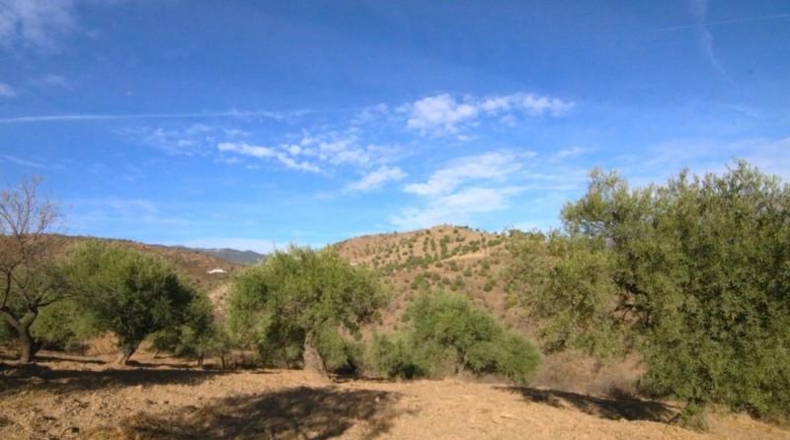 Málaga - Tolox - 9283m2