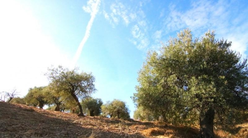 Málaga - Tolox - 9283m2