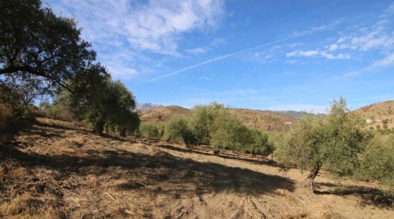 Málaga - Tolox - 9283m2