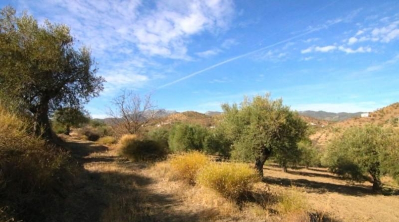 Málaga - Tolox - 9283m2