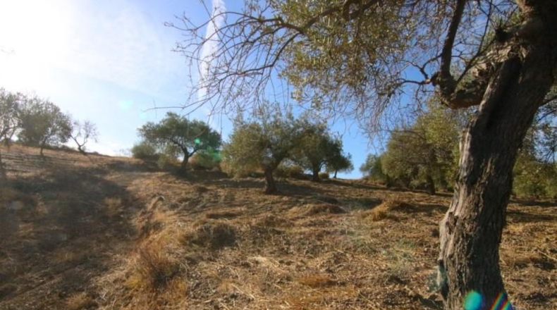 Málaga - Tolox - 9283m2