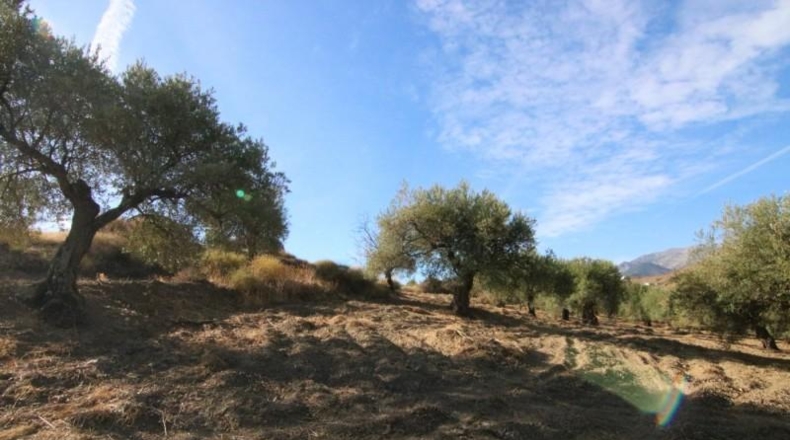 Málaga - Tolox - 9283m2