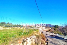 Benimantell 1000&nbsp;m² 