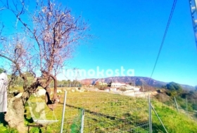 Benimantell 1000&nbsp;m² 