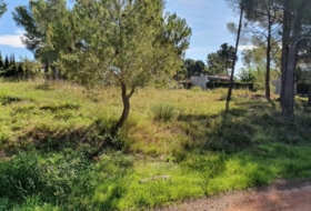Cabra del Camp 710&nbsp;м²