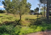 Urban land for sale on España, Cabra del Camp, ref: TR380076 photo