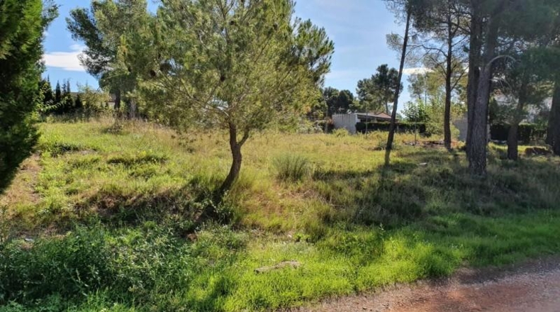 Tarragona - Cabra del Camp - 710m2