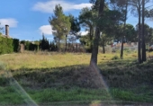 Urban land for sale on España, Cabra del Camp, ref: TR380076 photo