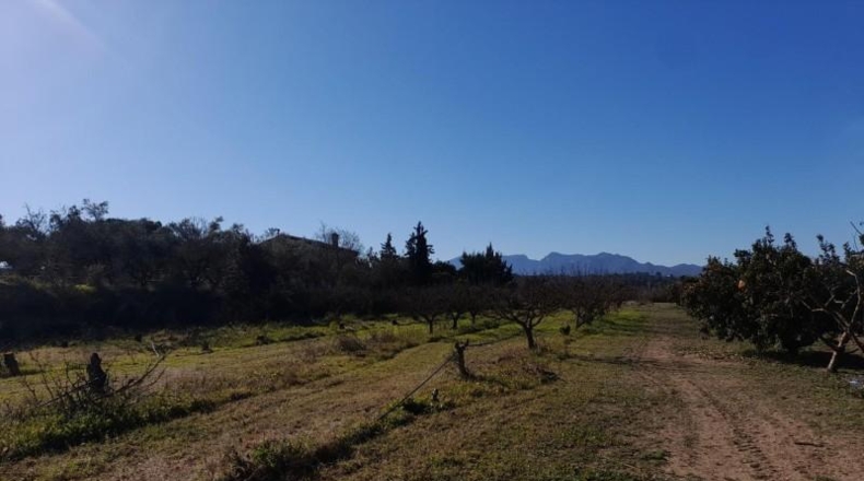 Tarragona - Ginestar - 12365m2