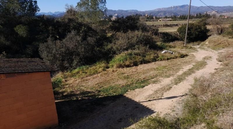 Tarragona - Ginestar - 12365m2