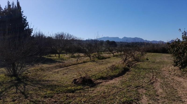 Tarragona - Ginestar - 12365m2