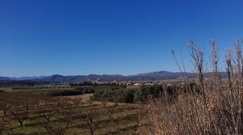 Tarragona - Ginestar - 12365m2