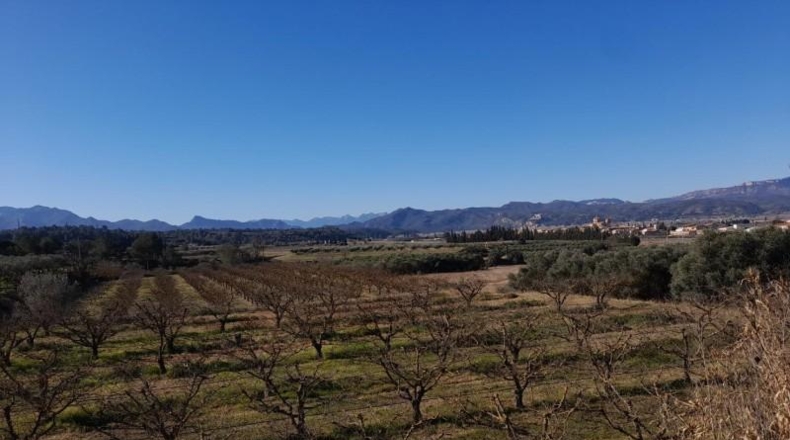 Tarragona - Ginestar - 12365m2