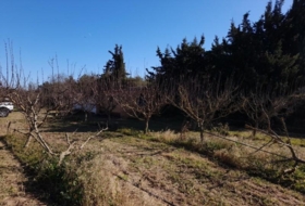 Ginestar 12365&nbsp;m² 