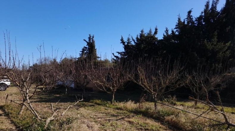 Tarragona - Ginestar - 12365m2