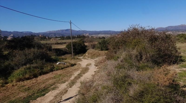 Tarragona - Ginestar - 12365m2