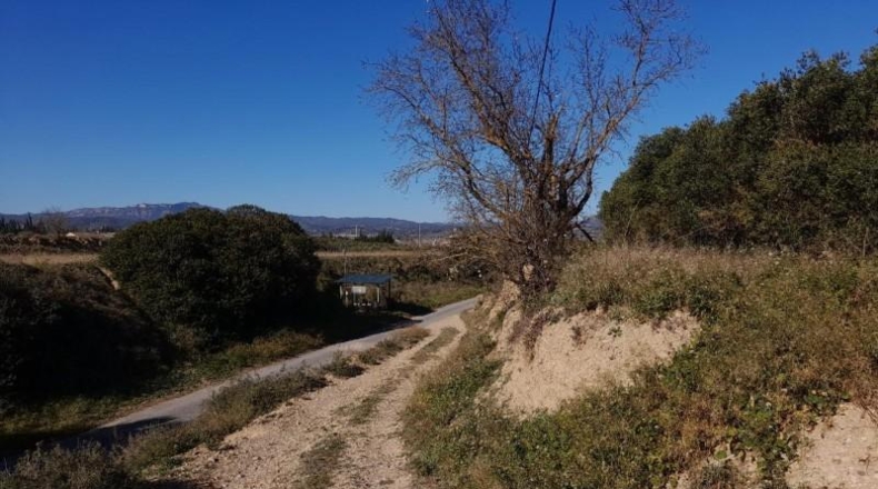 Tarragona - Ginestar - 12365m2