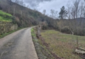 Non-developable land for sale on España, Cereceda, ref: TR382542 photo