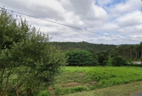 Eiravedra 1375&nbsp;m² 
