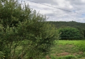 Parcel·la urbanitzable en venda a la España, Eiravedra, ref.: TR382170 foto