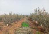 Terreno no urbanizable en venta en la España, Montijo, ref: TR375445 foto