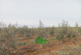 Montijo 4900&nbsp;m² 
