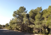 Parcel·la urbanitzable en venda a la España, Calafell, ref.: TR375704 foto