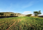 Terreno no urbanizable en venta en la España, Padul, ref: TR377625 foto