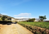 Terreno no urbanizable en venta en la España, Padul, ref: TR377625 foto