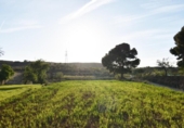 Terreno no urbanizable en venta en la España, Padul, ref: TR377625 foto