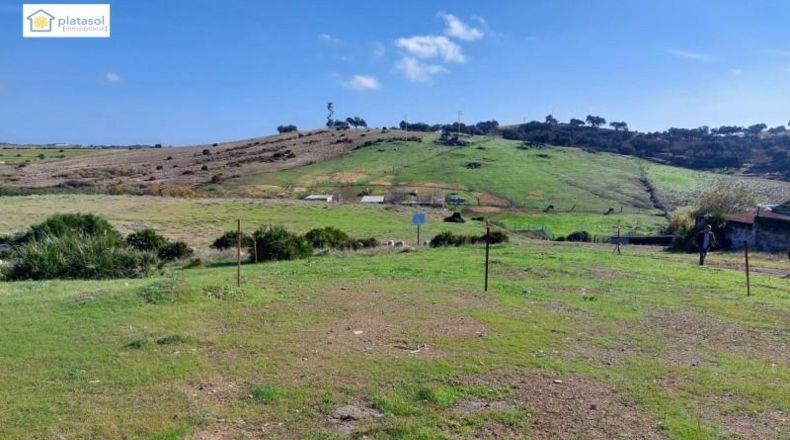 Seville - El Garrobo - 295m2