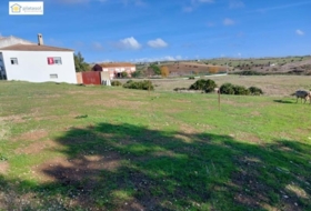 El Garrobo 295&nbsp;м²