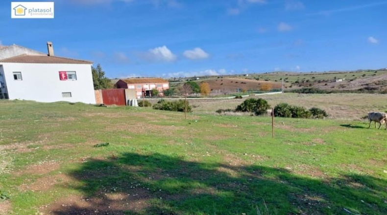 Seville - El Garrobo - 295m2