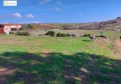 Suelo urbano en venta en la España, El Garrobo, ref: TR366248 foto