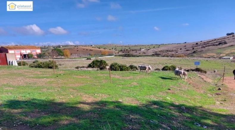 Seville - El Garrobo - 295m2