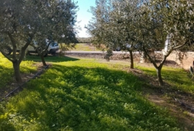 Móra d'Ebre 2643&nbsp;m² 