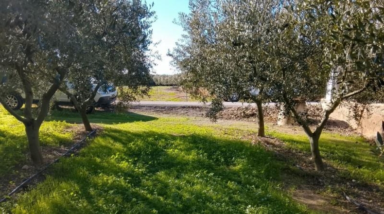 Tarragona - Móra d'Ebre - 2643m2
