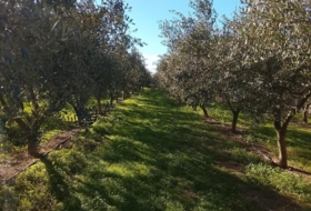 Móra d'Ebre 2643&nbsp;m² 