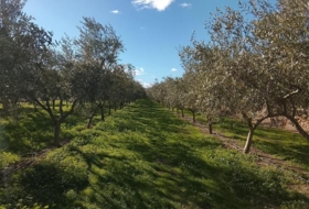 Móra d'Ebre 2643&nbsp;m² 