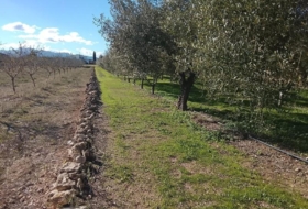 Móra d'Ebre 2643&nbsp;m² 