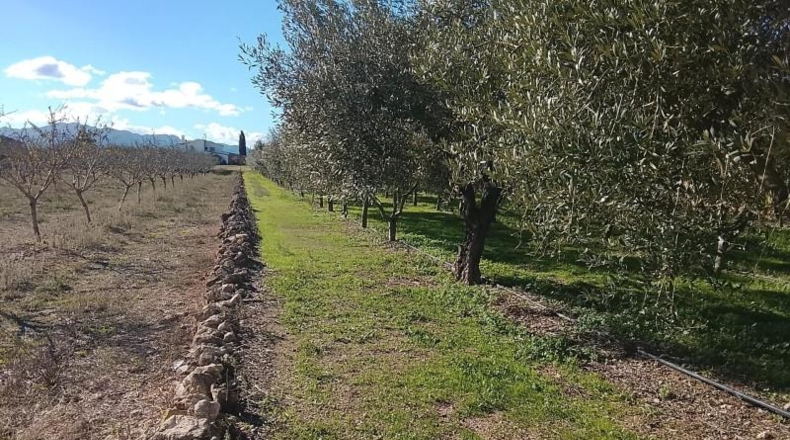 Tarragona - Móra d'Ebre - 2643m2