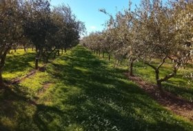 Móra d'Ebre 2643&nbsp;m² 
