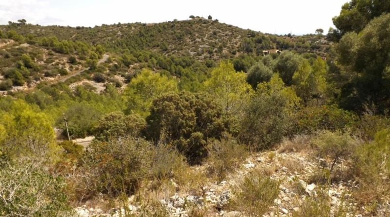 Tarragona - Calafell - 613m2