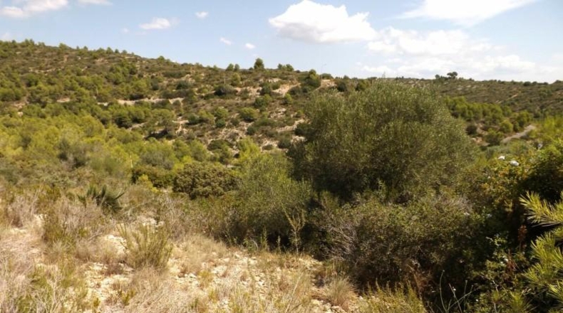 Tarragona - Calafell - 613m2