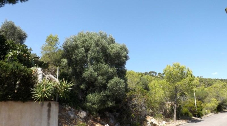 Tarragona - Calafell - 613m2