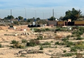 Terreny no urbanitzable en venda a la España, Crevillent, ref.: TR357788 foto