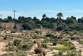 Crevillent 12000&nbsp;m² 